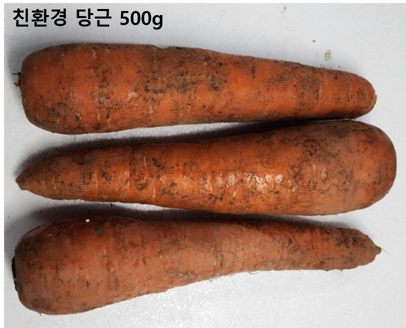 이미지4